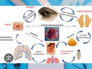 Lesson 1.1_ Implementing and Monitoring Infection Control Policies and ...