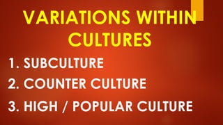 VARIATIONS WITHIN
CULTURES
1. SUBCULTURE
2. COUNTER CULTURE
3. HIGH / POPULAR CULTURE
 