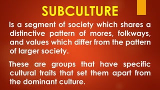 SUBCULTURE
Is a segment of society which shares a
distinctive pattern of mores, folkways,
and values which differ from the pattern
of larger society.
These are groups that have specific
cultural traits that set them apart from
the dominant culture.
 