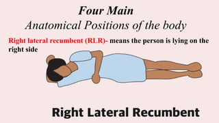 Four Main
Anatomical Positions of the body
Right lateral recumbent (RLR)- means the person is lying on the
right side
 