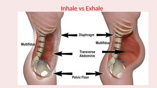 Inhale vs Exhale
 