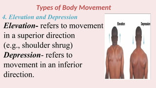 Types of Body Movement
4. Elevation and Depression
Elevation- refers to movement
in a superior direction
(e.g., shoulder shrug)
Depression- refers to
movement in an inferior
direction.
 