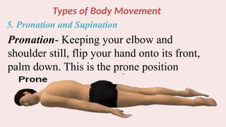 Types of Body Movement
5. Pronation and Supination
Pronation- Keeping your elbow and
shoulder still, flip your hand onto its front,
palm down. This is the prone position
 