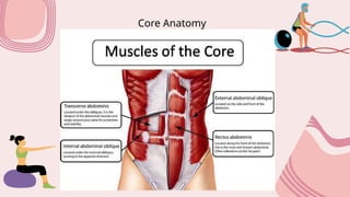 Core Anatomy
 