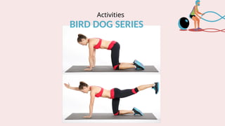 Activities
BIRD DOG SERIES
 