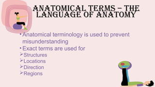 Anatomical Terms – The
Language of Anatomy
• Anatomical terminology is used to prevent
misunderstanding
• Exact terms are used for
Structures
Locations
Direction
Regions
 
