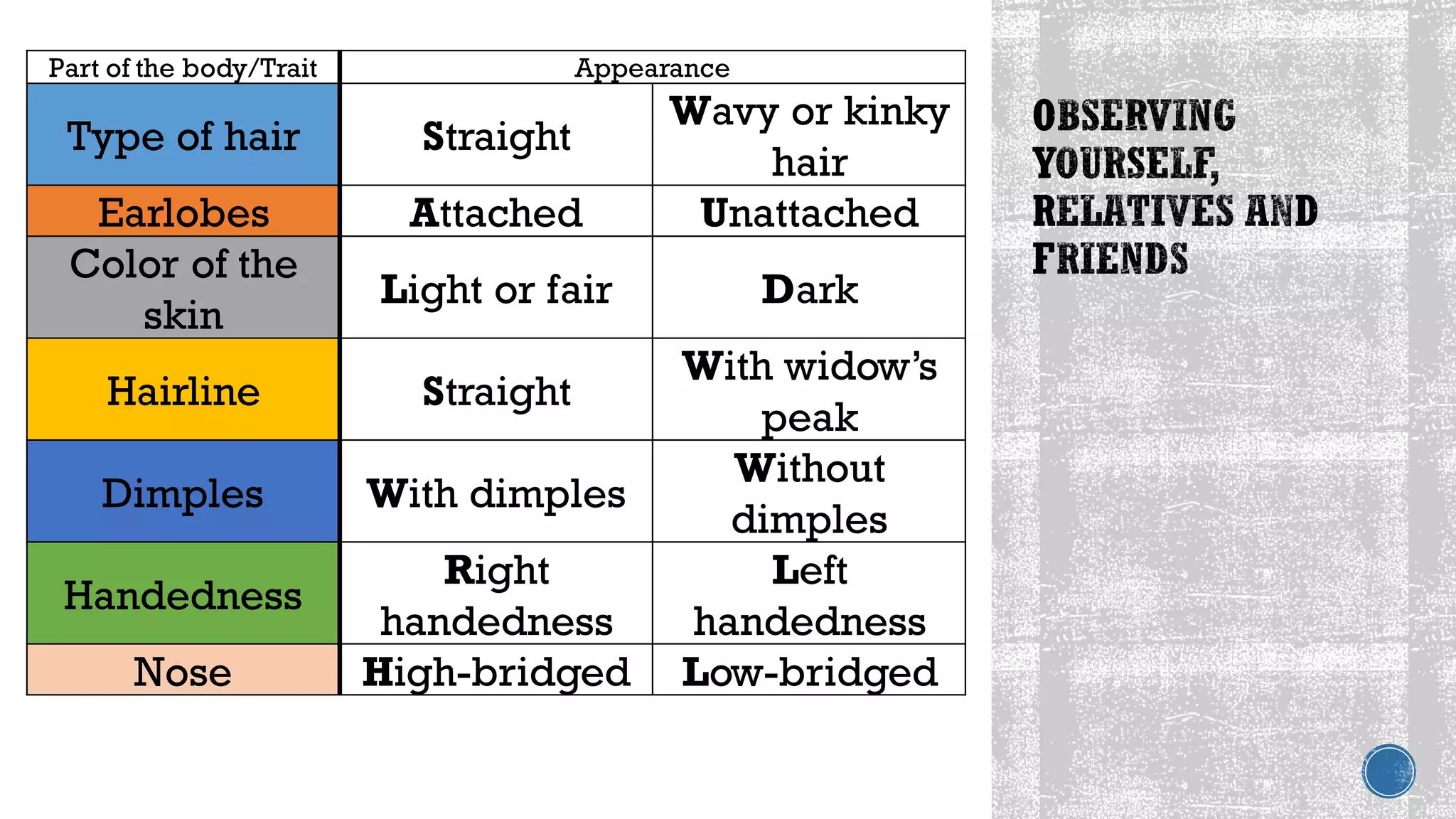 Part of the body/Trait Appearance
Type of hair Straight
Wavy or kinky
hair
Earlobes Attached Unattached
Color of the
skin
Light or fair Dark
Hairline Straight
With widow’s
peak
Dimples With dimples
Without
dimples
Handedness
Right
handedness
Left
handedness
Nose High-bridged Low-bridged
 
