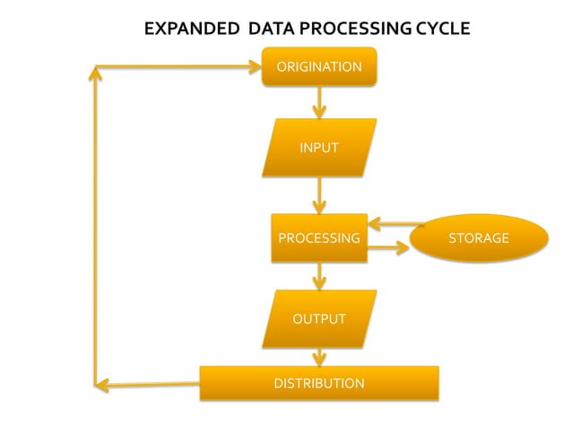 Lesson 1 data processing | PPTX | Databases | Computer Software and ...