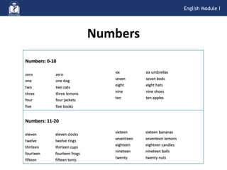 Numbers
English Module I
 