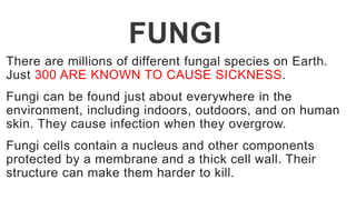 FUNGI
There are millions of different fungal species on Earth.
Just 300 ARE KNOWN TO CAUSE SICKNESS.
Fungi can be found just about everywhere in the
environment, including indoors, outdoors, and on human
skin. They cause infection when they overgrow.
Fungi cells contain a nucleus and other components
protected by a membrane and a thick cell wall. Their
structure can make them harder to kill.
 