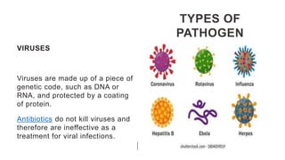 TYPES OF
PATHOGEN
VIRUSES
Viruses are made up of a piece of
genetic code, such as DNA or
RNA, and protected by a coating
of protein.
Antibiotics do not kill viruses and
therefore are ineffective as a
treatment for viral infections.
 