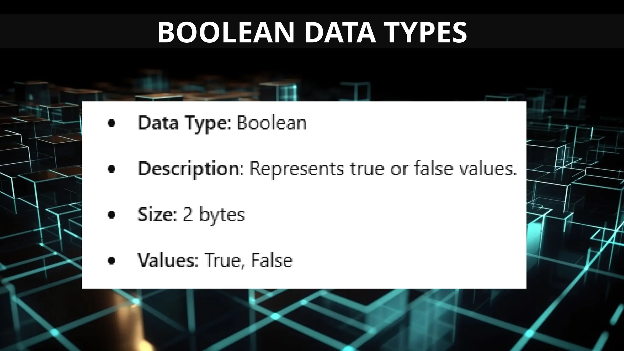 BOOLEAN DATA TYPES
 