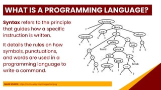 Lesson 1 - Introduction to Programming .pdf