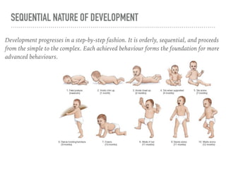 SEQUENTIAL NATURE OF DEVELOPMENT
Development progresses in a step-by-step fashion. It is orderly, sequential, and proceeds...