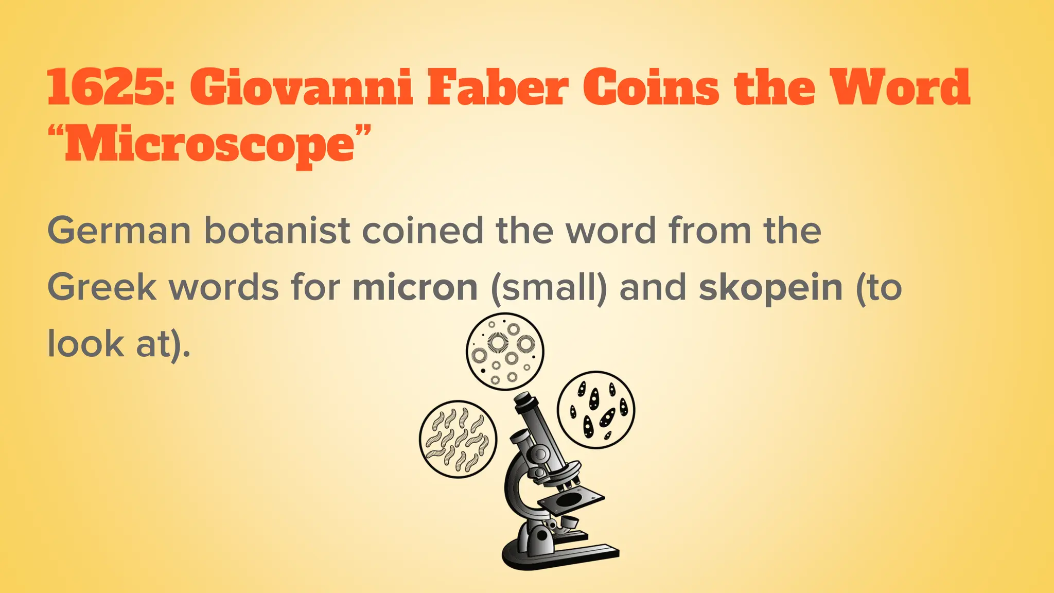 1625: Giovanni Faber Coins the Word
“Microscope”
German botanist coined the word from the
Greek words for micron (small) and skopein (to
look at).
 