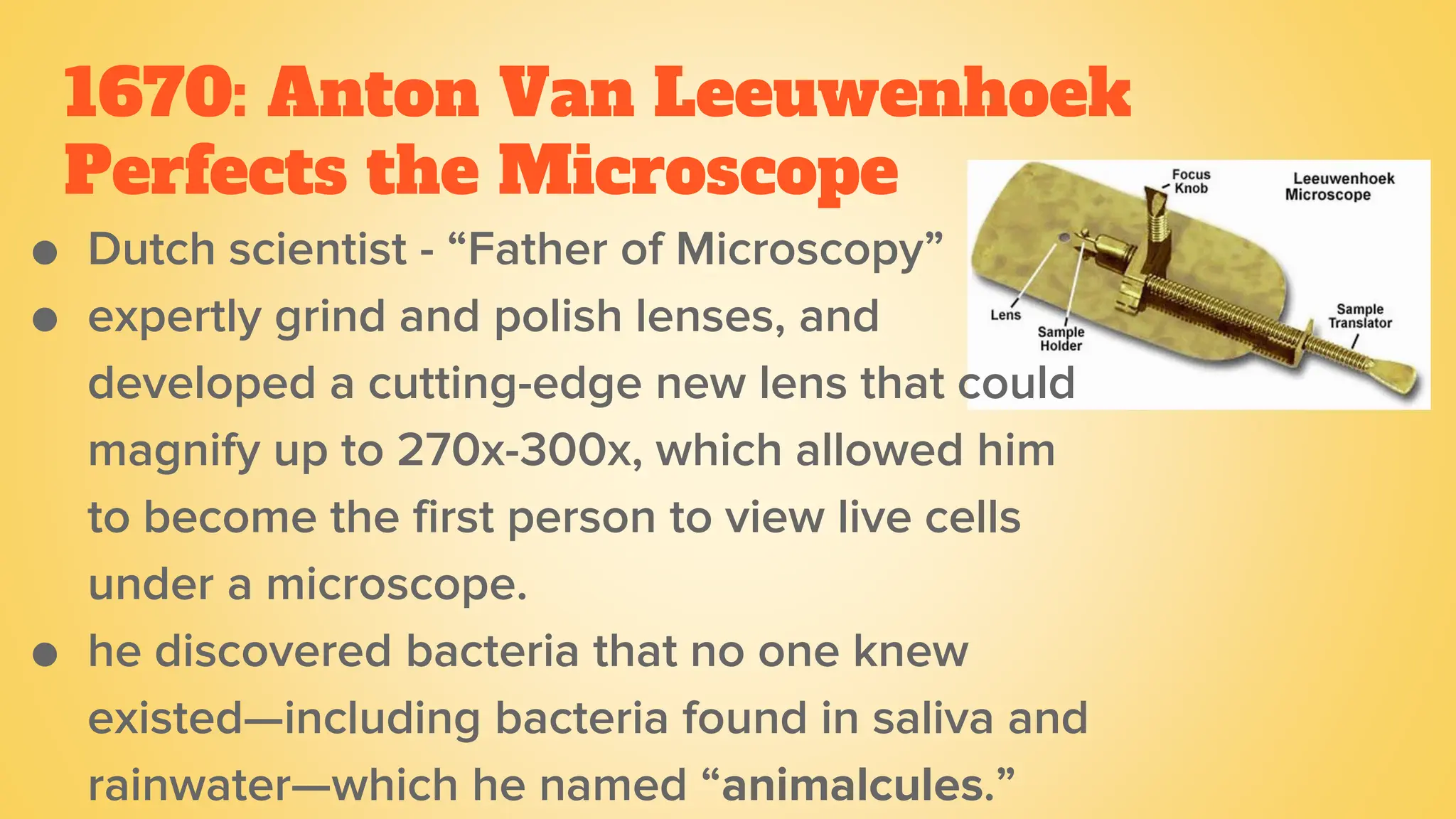 1670: Anton Van Leeuwenhoek
Perfects the Microscope
● Dutch scientist - “Father of Microscopy”
● expertly grind and polish lenses, and
developed a cutting-edge new lens that could
magnify up to 270x-300x, which allowed him
to become the first person to view live cells
under a microscope.
● he discovered bacteria that no one knew
existed—including bacteria found in saliva and
rainwater—which he named “animalcules.”
 