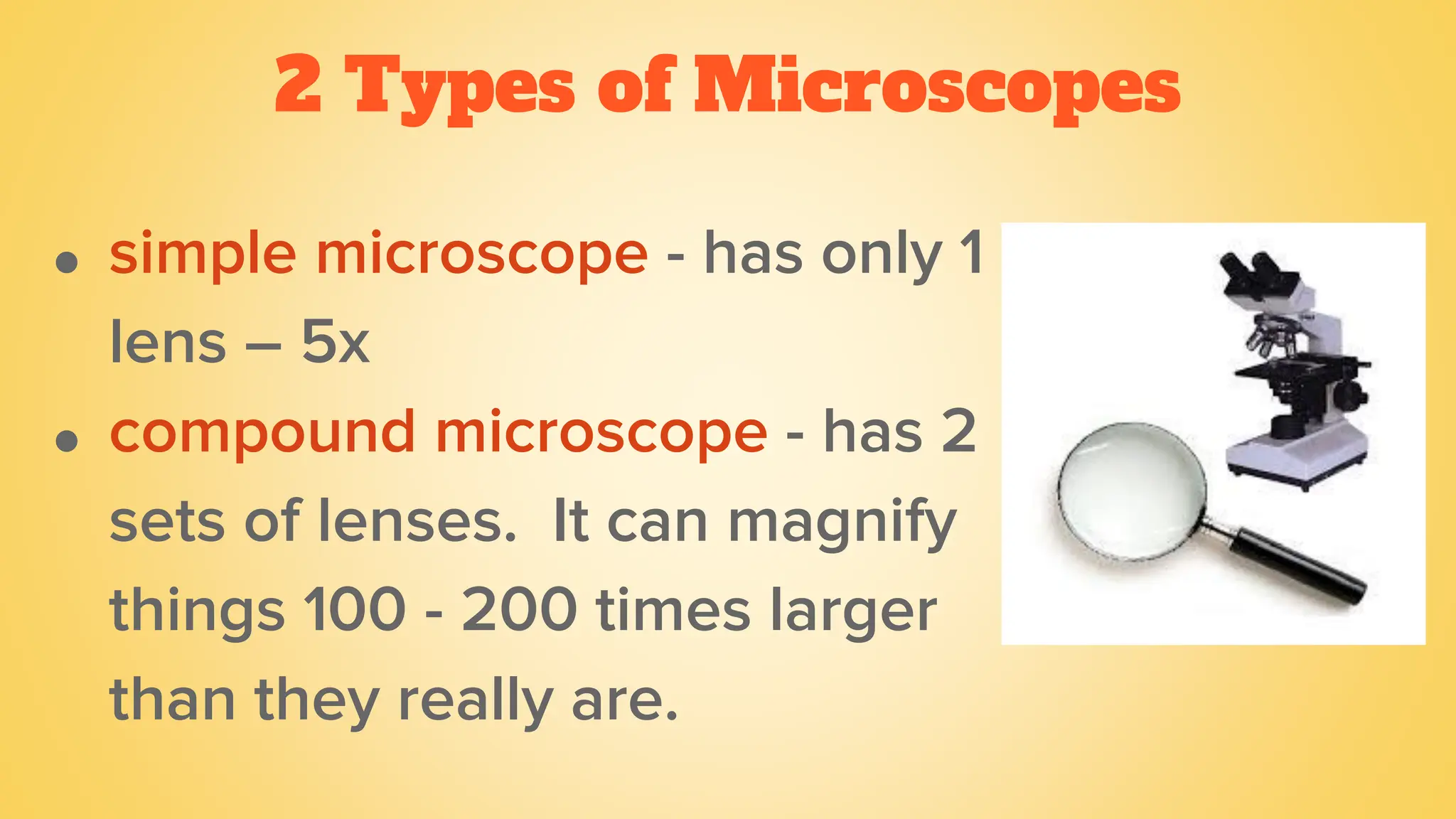 2 Types of Microscopes
● simple microscope - has only 1
lens – 5x
● compound microscope - has 2
sets of lenses. It can magnify
things 100 - 200 times larger
than they really are.
 