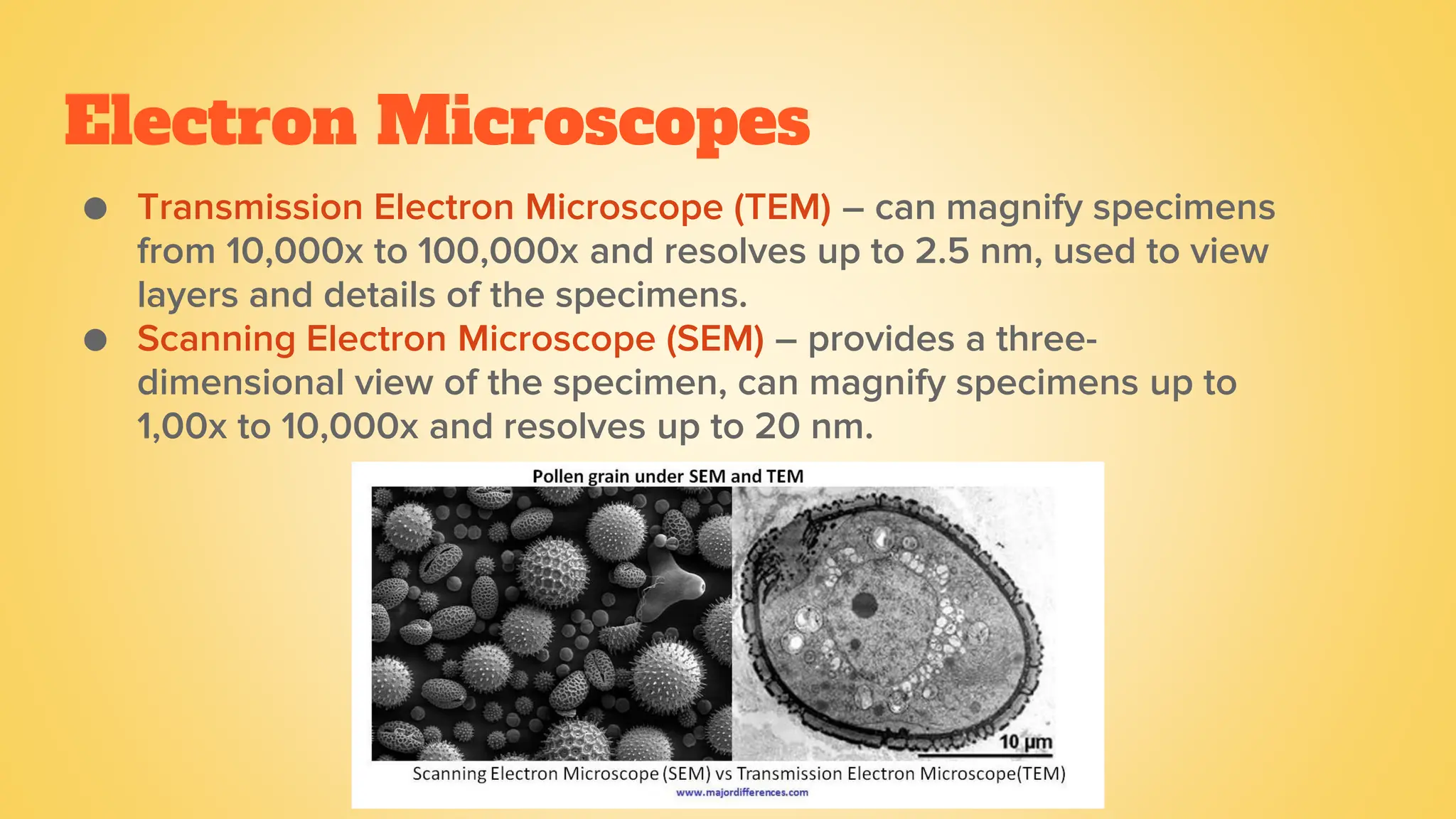 Electron Microscopes
● Transmission Electron Microscope (TEM) – can magnify specimens
from 10,000x to 100,000x and resolves up to 2.5 nm, used to view
layers and details of the specimens.
● Scanning Electron Microscope (SEM) – provides a three-
dimensional view of the specimen, can magnify specimens up to
1,00x to 10,000x and resolves up to 20 nm.
 
