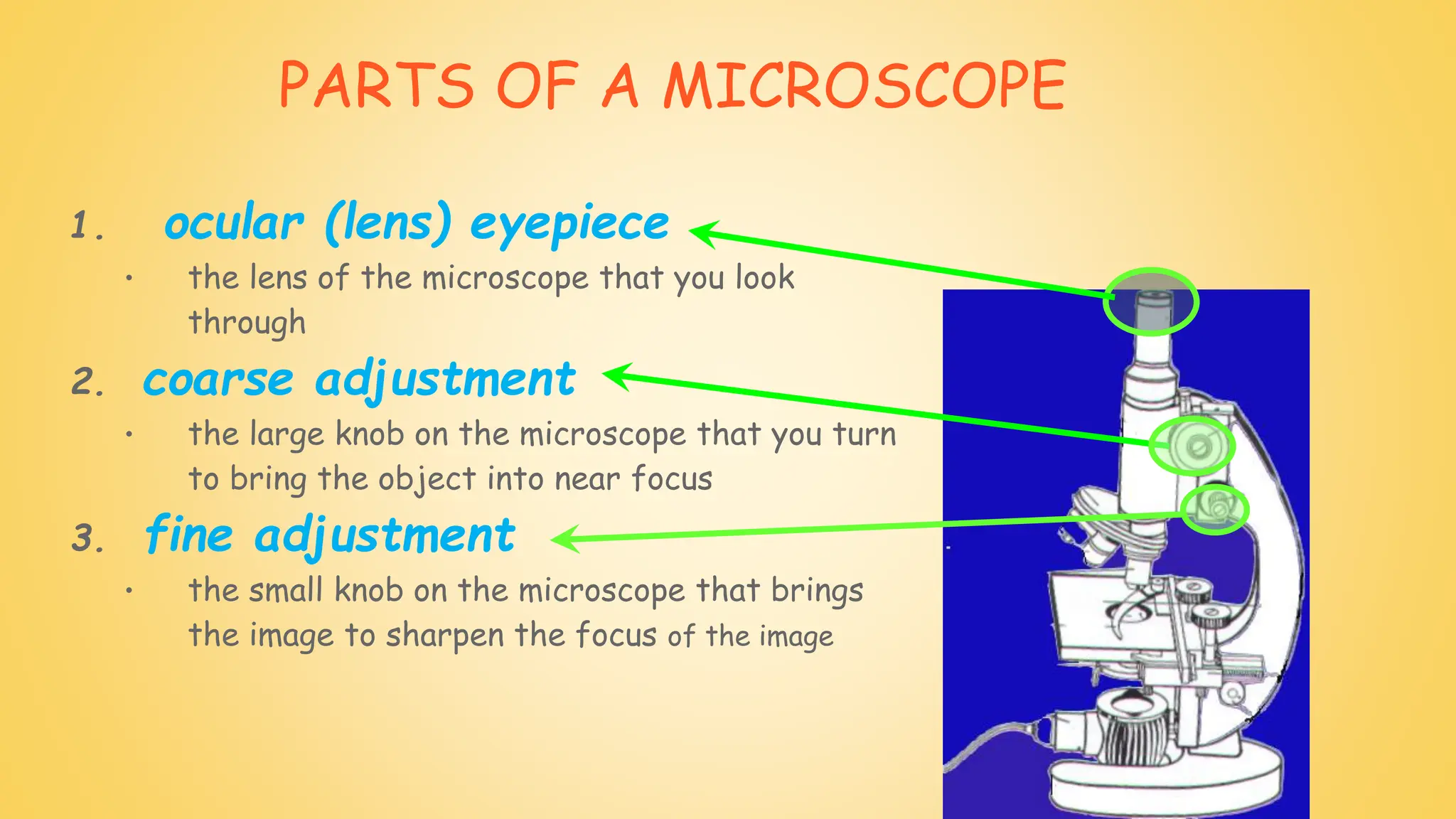 PARTS OF A MICROSCOPE
1. ocular (lens) eyepiece
• the lens of the microscope that you look
through
2. coarse adjustment
• the large knob on the microscope that you turn
to bring the object into near focus
3. fine adjustment
• the small knob on the microscope that brings
the image to sharpen the focus of the image
 