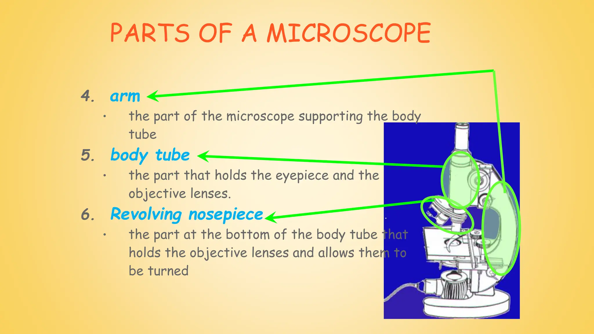 PARTS OF A MICROSCOPE
4. arm
• the part of the microscope supporting the body
tube
5. body tube
• the part that holds the eyepiece and the
objective lenses.
6. Revolving nosepiece
• the part at the bottom of the body tube that
holds the objective lenses and allows them to
be turned
 