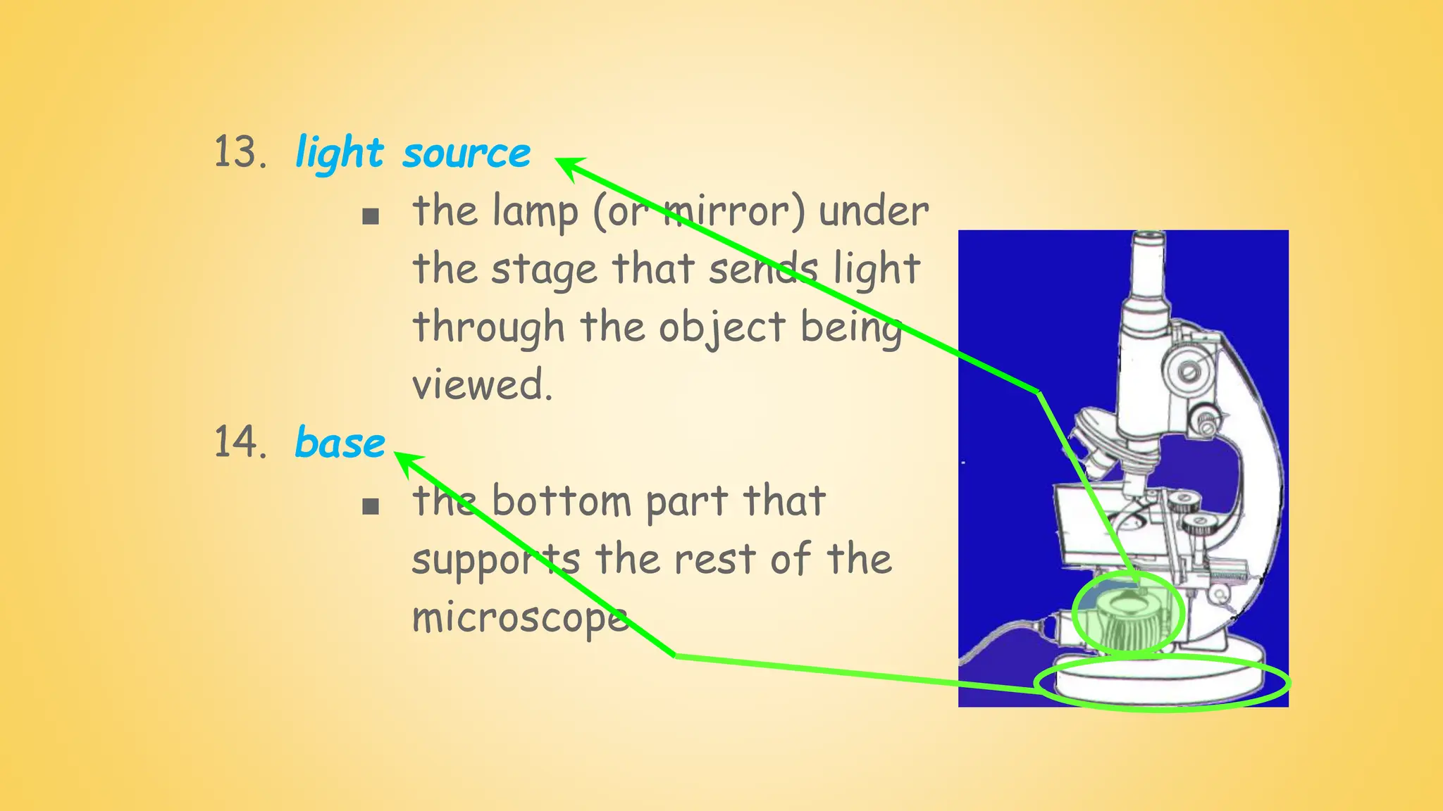 13. light source
■ the lamp (or mirror) under
the stage that sends light
through the object being
viewed.
14. base
■ the bottom part that
supports the rest of the
microscope
 