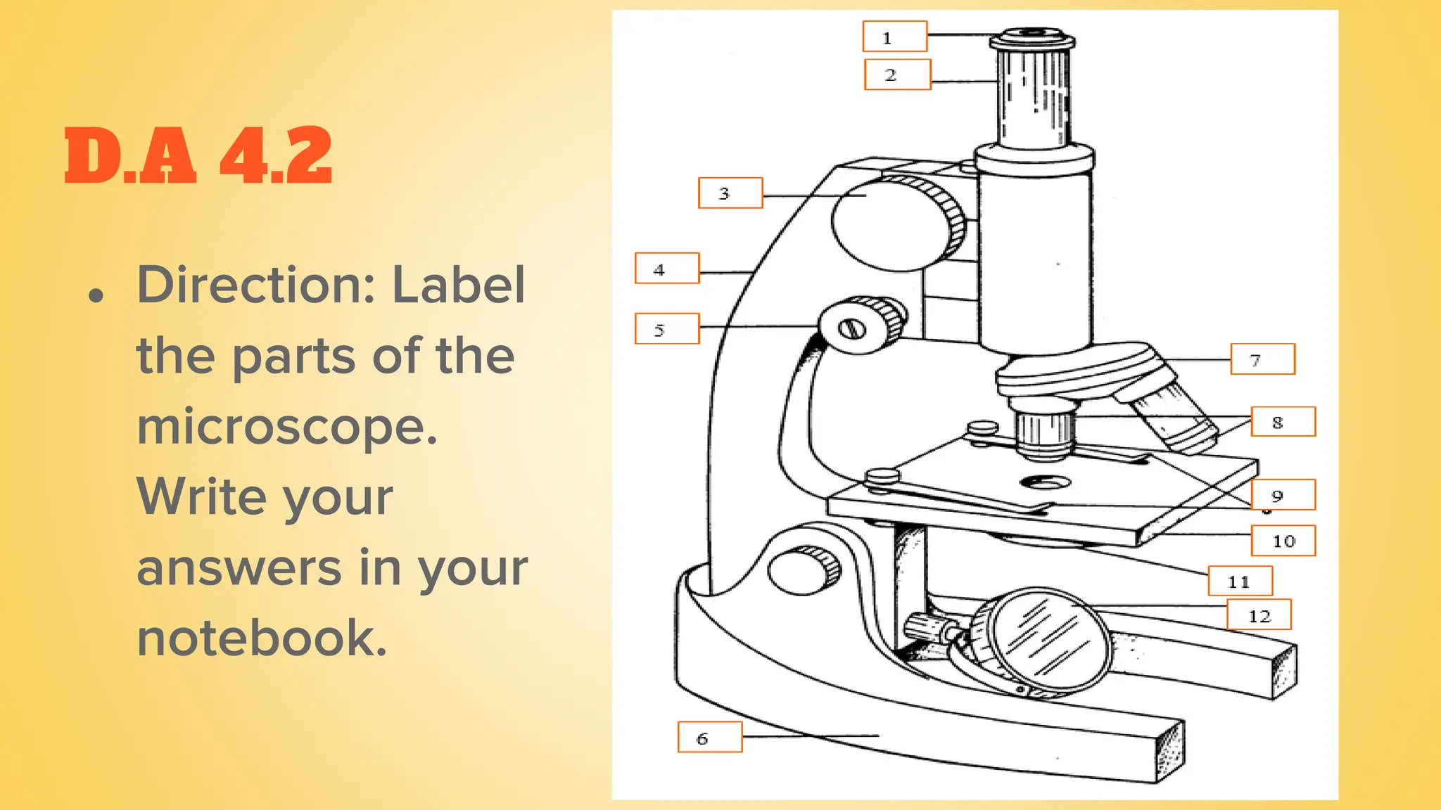 D.A 4.2
● Direction: Label
the parts of the
microscope.
Write your
answers in your
notebook.
 