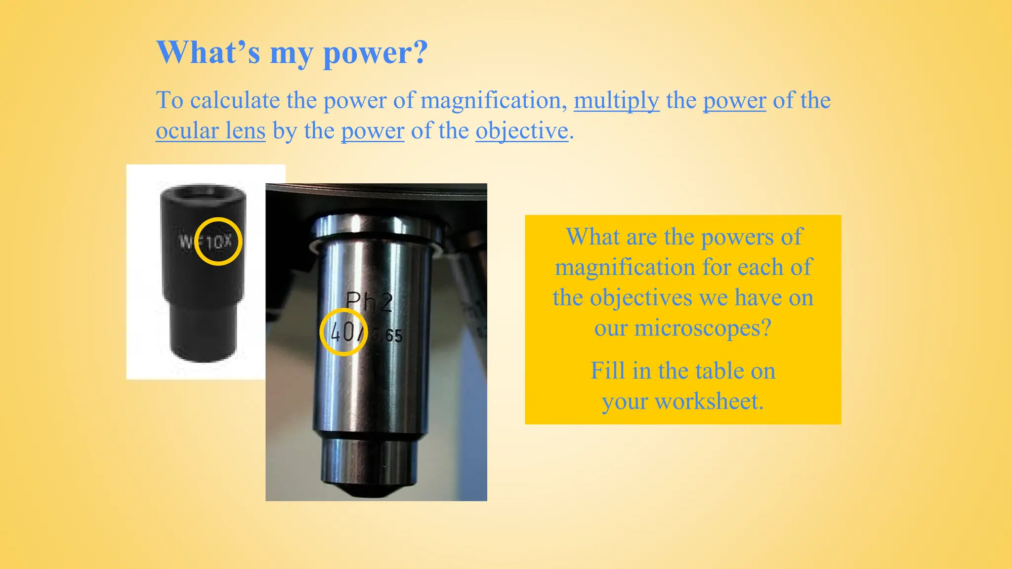 What’s my power?
To calculate the power of magnification, multiply the power of the
ocular lens by the power of the objective.
What are the powers of
magnification for each of
the objectives we have on
our microscopes?
Fill in the table on
your worksheet.
 
