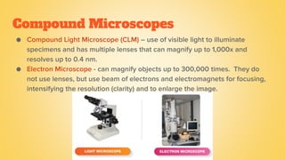 Grade 7 - Lesson 1 - Microscope and Its Functions | PDF
