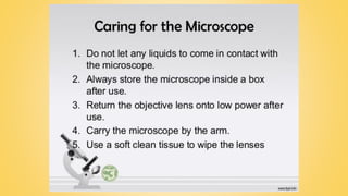 Grade 7 - Lesson 1 - Microscope and Its Functions | PDF