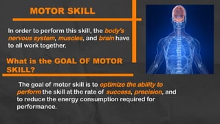 LESSON 1- MOTOR SKILLS and Gross motor skills | PPTX