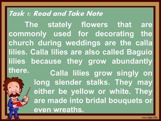 Task 1: Read and Take Note
The stately flowers that are
commonly used for decorating the
church during weddings are the calla
lilies. Calla lilies are also called Baguio
lilies because they grow abundantly
there. Calla lilies grow singly on
long slender stalks. They may
either be yellow or white. They
are made into bridal bouquets or
even wreaths.
 