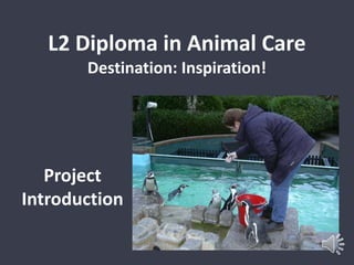 L2 Diploma in Animal Care 
Destination: Inspiration! 
Project 
Introduction 
 