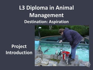 L3 Diploma in Animal 
Management 
Destination: Aspiration 
Project 
Introduction 
 