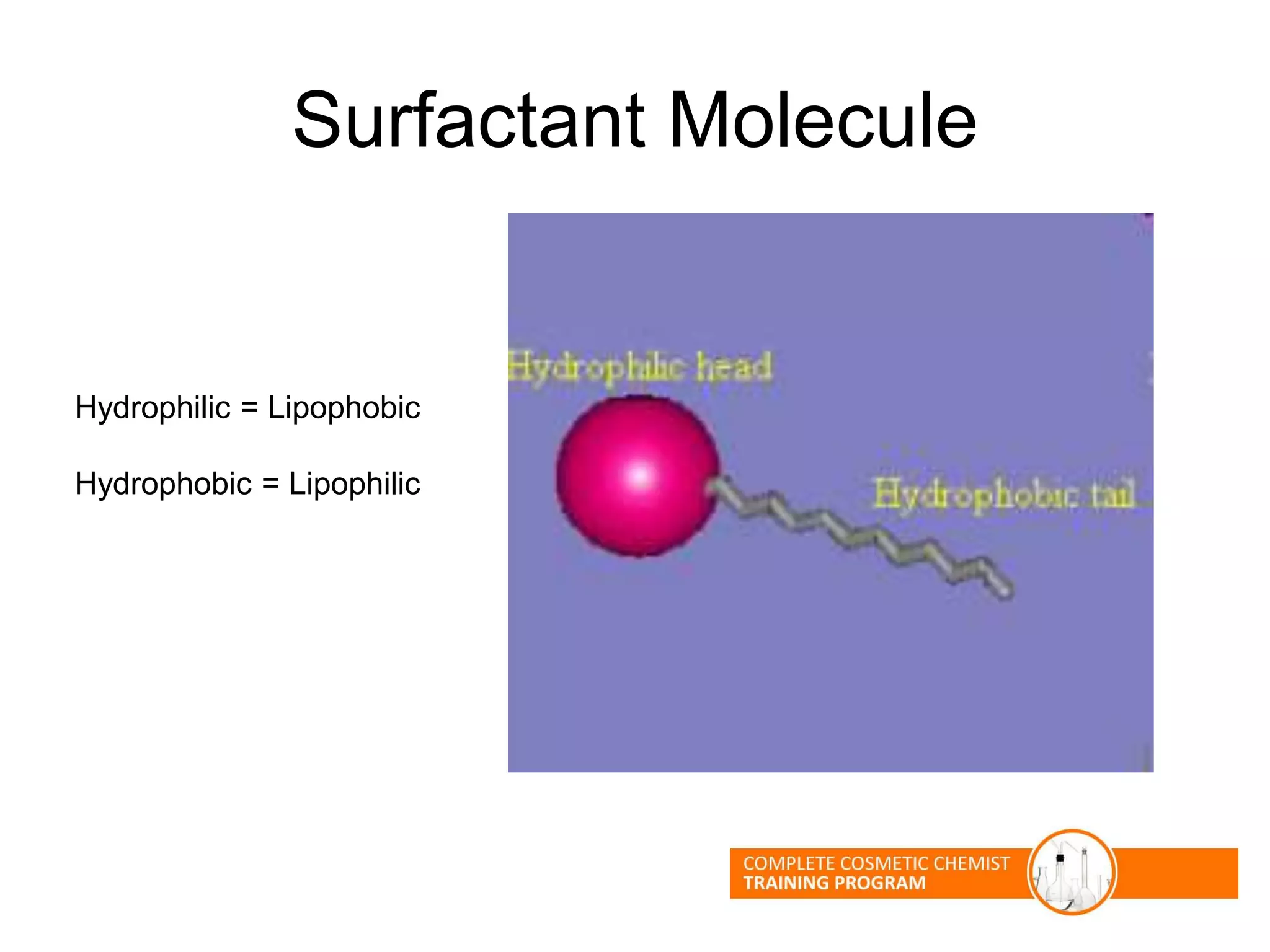 Surfactant Molecule
Hydrophilic = Lipophobic
Hydrophobic = Lipophilic
 