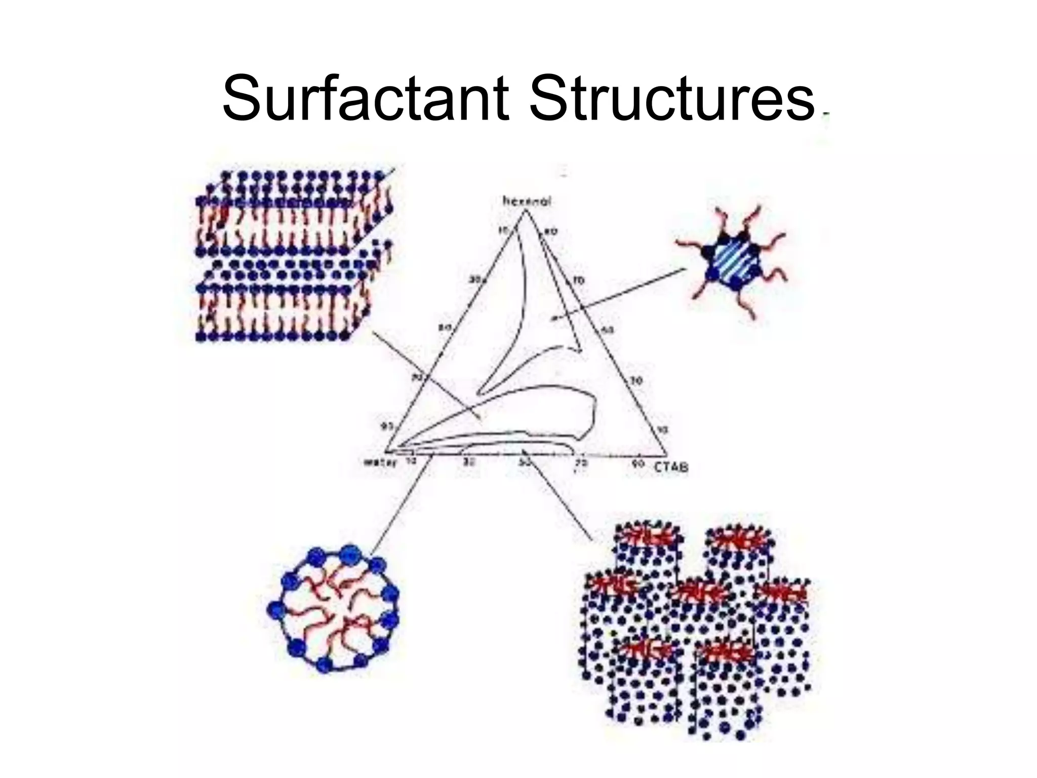 Surfactant Structures
 