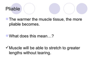 Pliable The warmer the muscle tissue, the more pliable becomes. What does this mean…? Muscle will be able to stretch to greater lengths without tearing. 