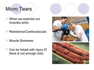 Micro Tears When we exercise our muscles ache. Resistance/Cardiovascular. Muscle Soreness. Can be linked with injury (If there is not enough rest). 