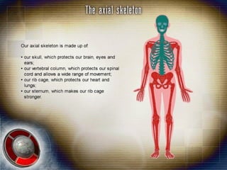 Lesson 1 skeletal system | PPT