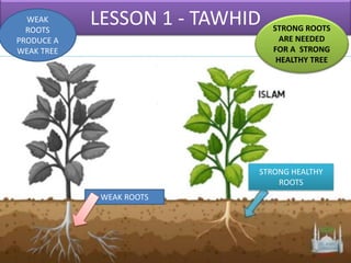 LESSON 1 - TAWHID STRONG ROOTS
ARE NEEDED
FOR A STRONG
HEALTHY TREE
WEAK
ROOTS
PRODUCE A
WEAK TREE
WEAK ROOTS
STRONG HEALTHY
ROOTS
 