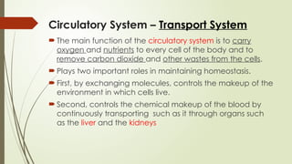 The Circulatory System also known as the cardiovascular system | PPTX