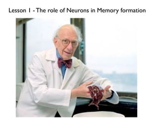 Lesson 1 - The role of Neurons in Memory formation
 