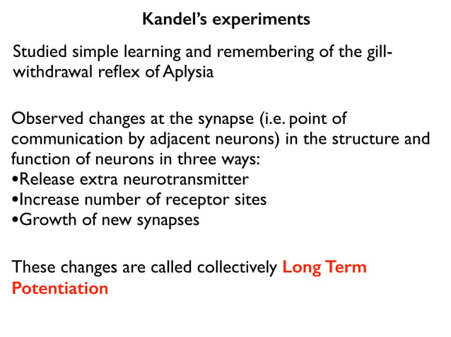 Lesson 1 the role of the neuron in memory formation 2015 | PDF | Brain ...