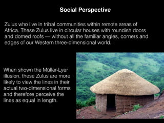 Social Perspective
When shown the Müller-Lyer
illusion, these Zulus are more
likely to view the lines in their
actual two-dimensional forms
and therefore perceive the
lines as equal in length.
Zulus who live in tribal communities within remote areas of
Africa. These Zulus live in circular houses with roundish doors 
and domed roofs — without all the familiar angles, corners and
edges of our Western three-dimensional world.
 