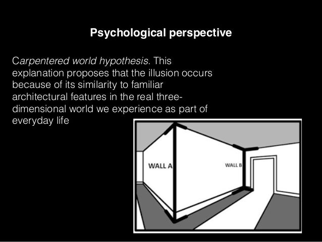 Lesson 1 visual illusion pschology of simple eye diagram 