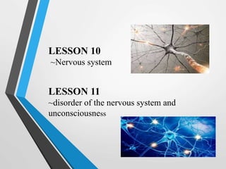 LESSON 10
~Nervous system
LESSON 11
~disorder of the nervous system and
unconsciousness
 