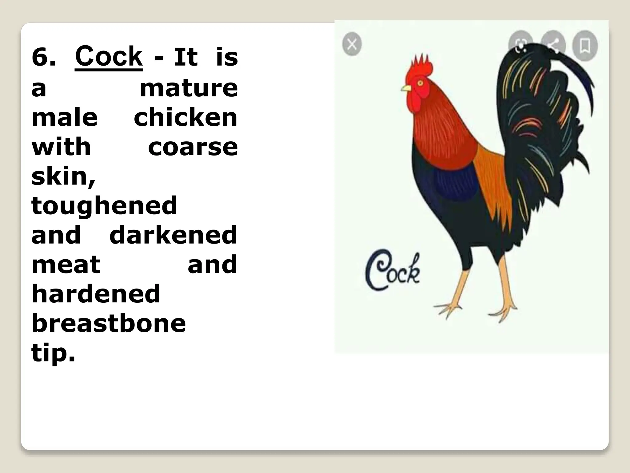 Poultry Lesson Lesson 10 - Prepare Poultry and Game Dishes.pptx