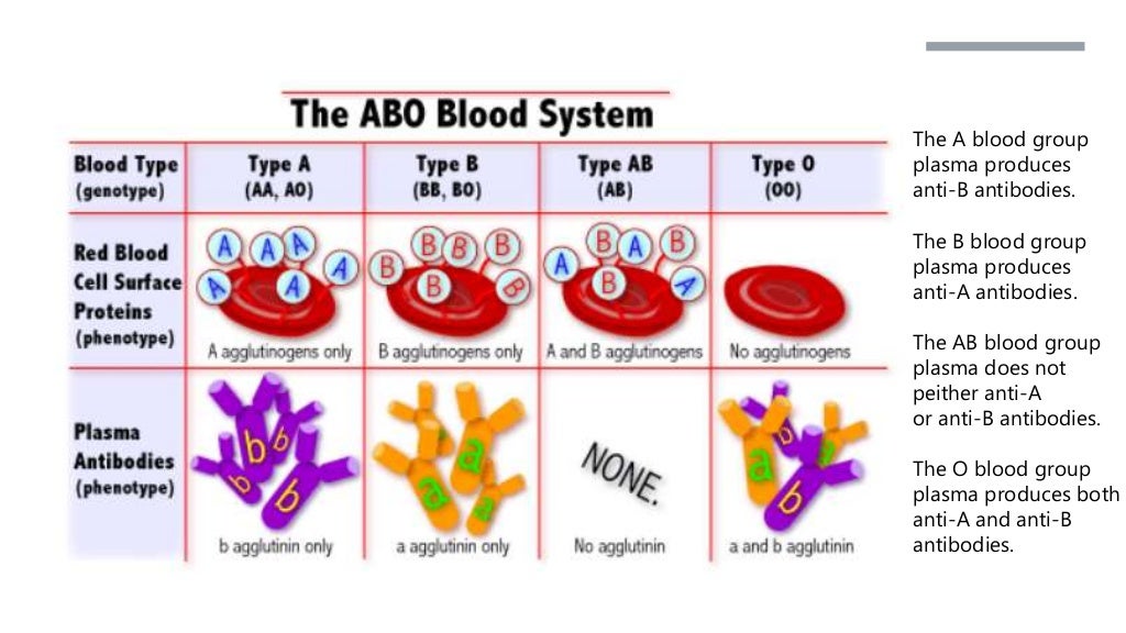 Lesson 10 complex patterns of inheritance