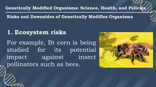 Lesson 10 Genetically Modified Organisms.pdf