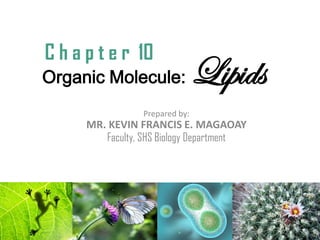 Organic Molecule: Lipids
Prepared by:
MR. KEVIN FRANCIS E. MAGAOAY
Faculty, SHS Biology Department
C h a p t e r 10
 