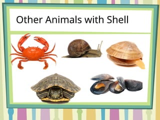 Lesson 10 Parts of Animals-LAND, WATER AND AIR .pptx